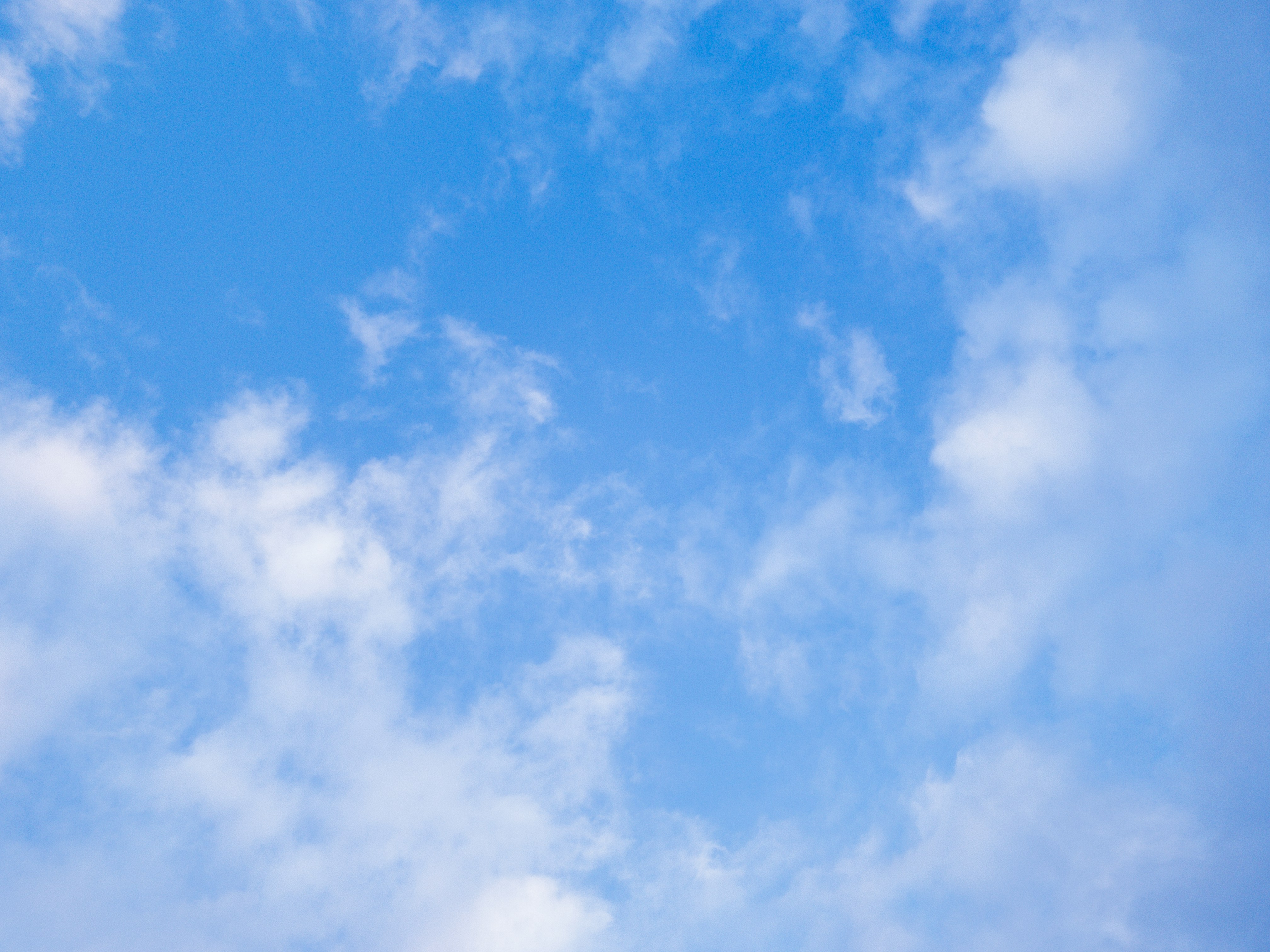 cielo cielo